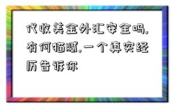 代收美金外汇安全吗,有何猫腻,一个真实经历告诉你