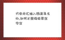代收外汇陷入骗局怎么办,如何才能确保资金安全