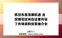 抓住东盟发展机遇 自贸雨花区块在这里开设了市场采购贸易推介会