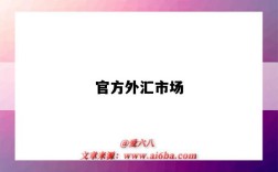 官方外汇市场
