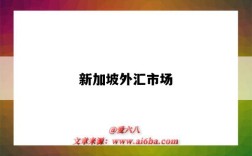 新加坡外汇市场