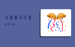 冰岛机场,冰岛机场名称