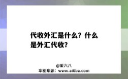 代收外汇是什么？什么是外汇代收？