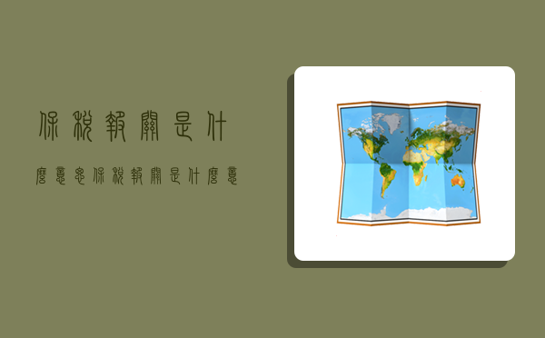 保税报关是什么意思,保税报关是什么意思-图1