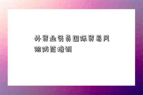 外贸业务员国际贸易风险防范培训-图1