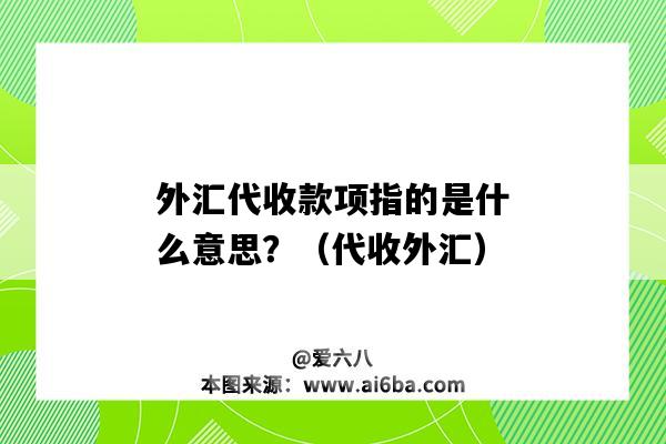 外汇代收款项指的是什么意思？（代收外汇）-图1